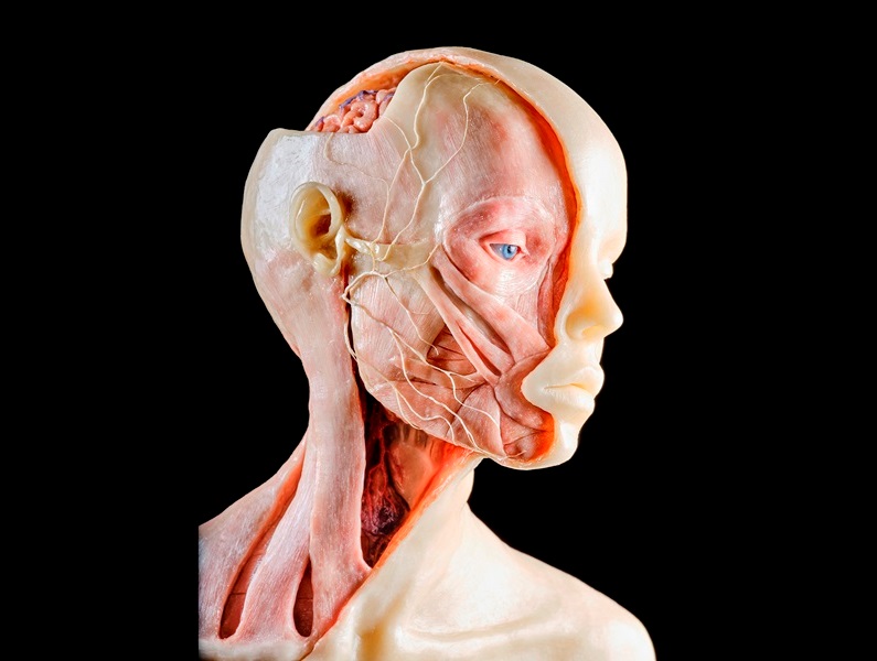 Tentoonstelling: Ongezien. Ongelijkheid in Geneeskunde